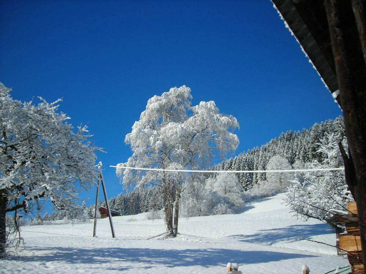 Ferienwohnung Muhlbauer Wald im Pinzgau Esterno foto